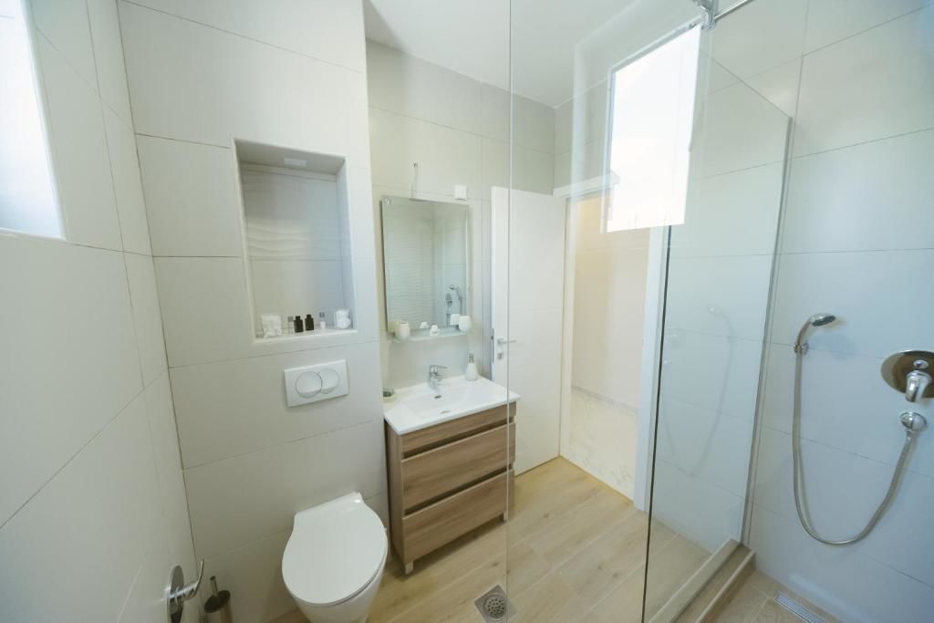 Апартаменты Apartment Luxury Explorer Подгорица
